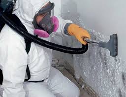 Mold Odor Removal Services in Independence, IA